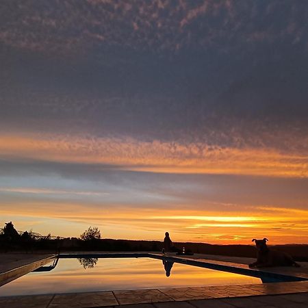 The Wild Edge Last Light Cottage Knysna Exterior foto
