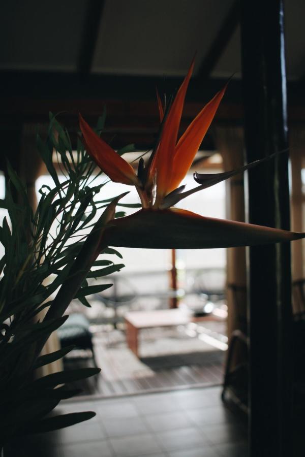 The Wild Edge Last Light Cottage Knysna Exterior foto