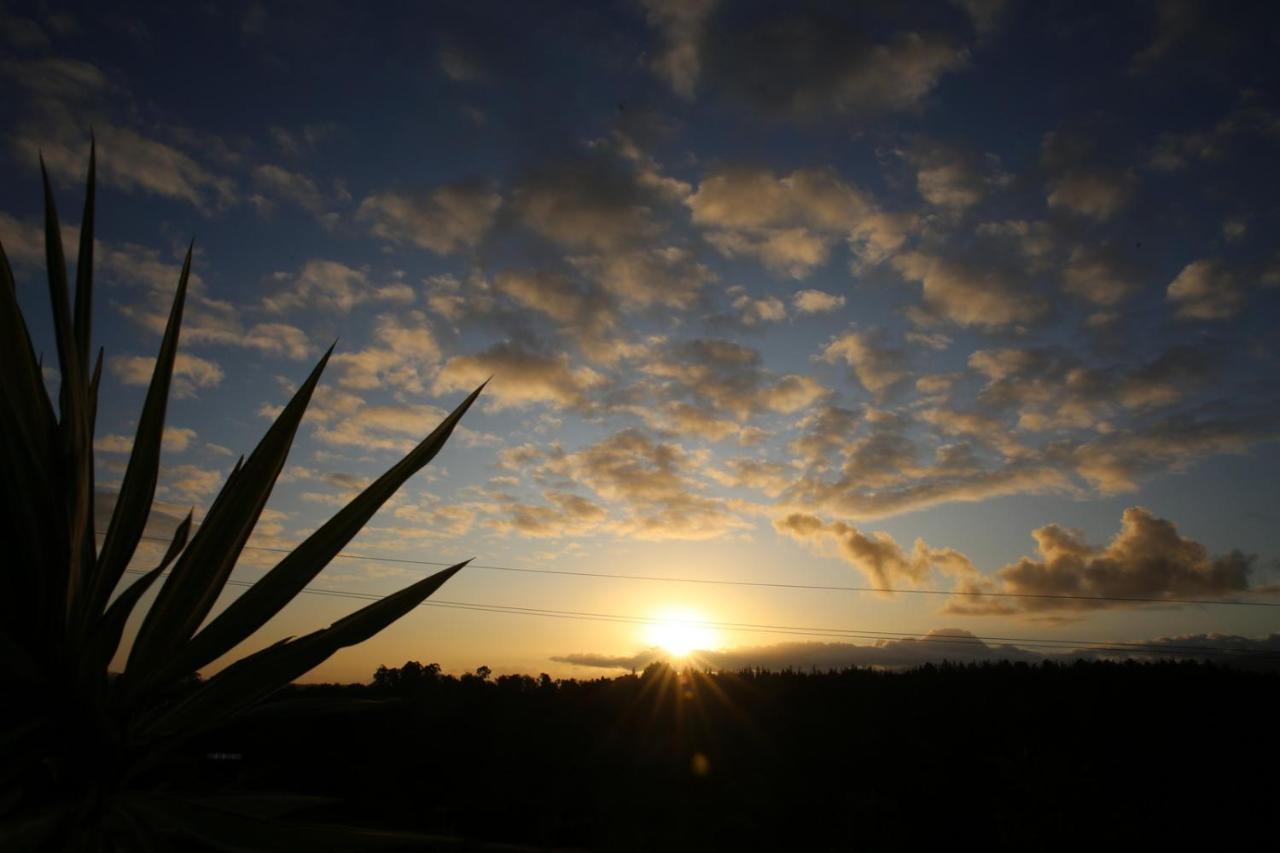 The Wild Edge Last Light Cottage Knysna Exterior foto